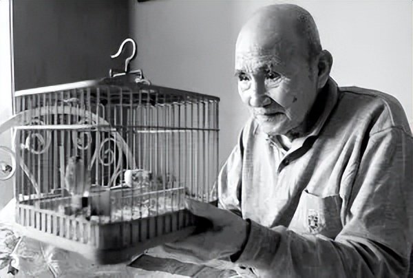 看了“二舅”，想起了靠蹬三轮车捐款35万元的他，你还记得吗？休闲区蓝鸢梦想 - Www.slyday.coM