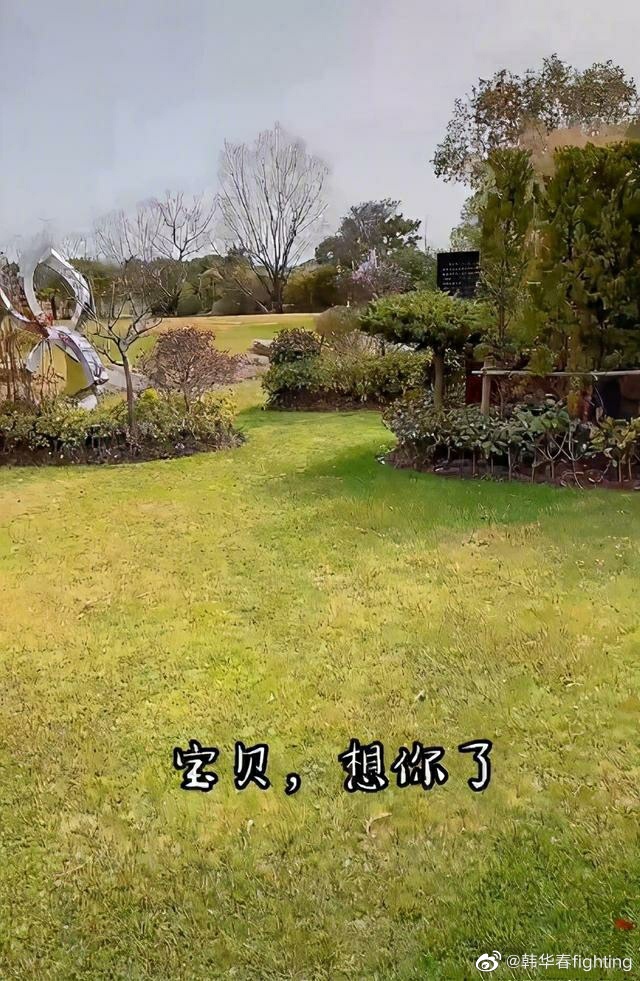 乔任梁妈妈现身墓园,晒扫墓视频表达对儿子的思念!