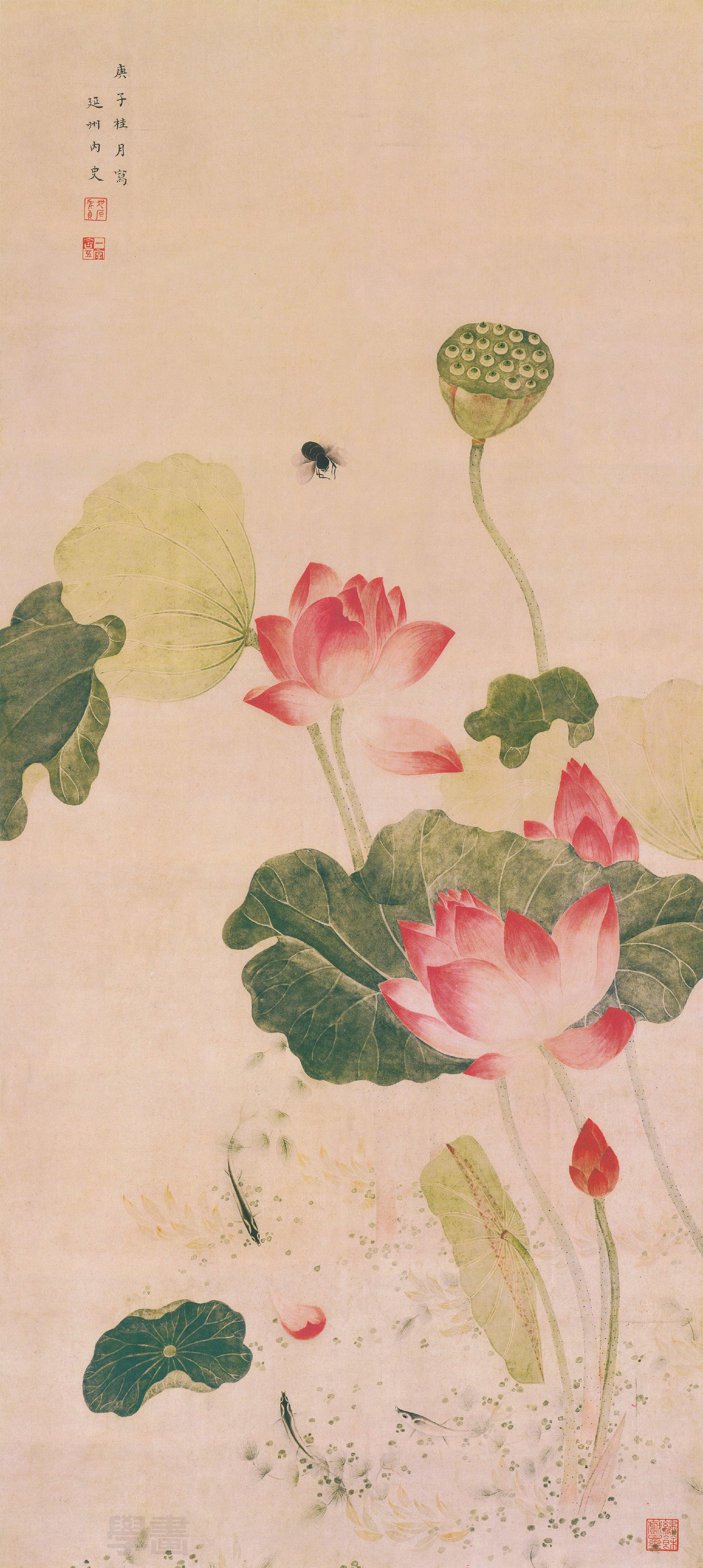 明·佚名《荷花图》纸本,高清大图_高清图集_新浪网