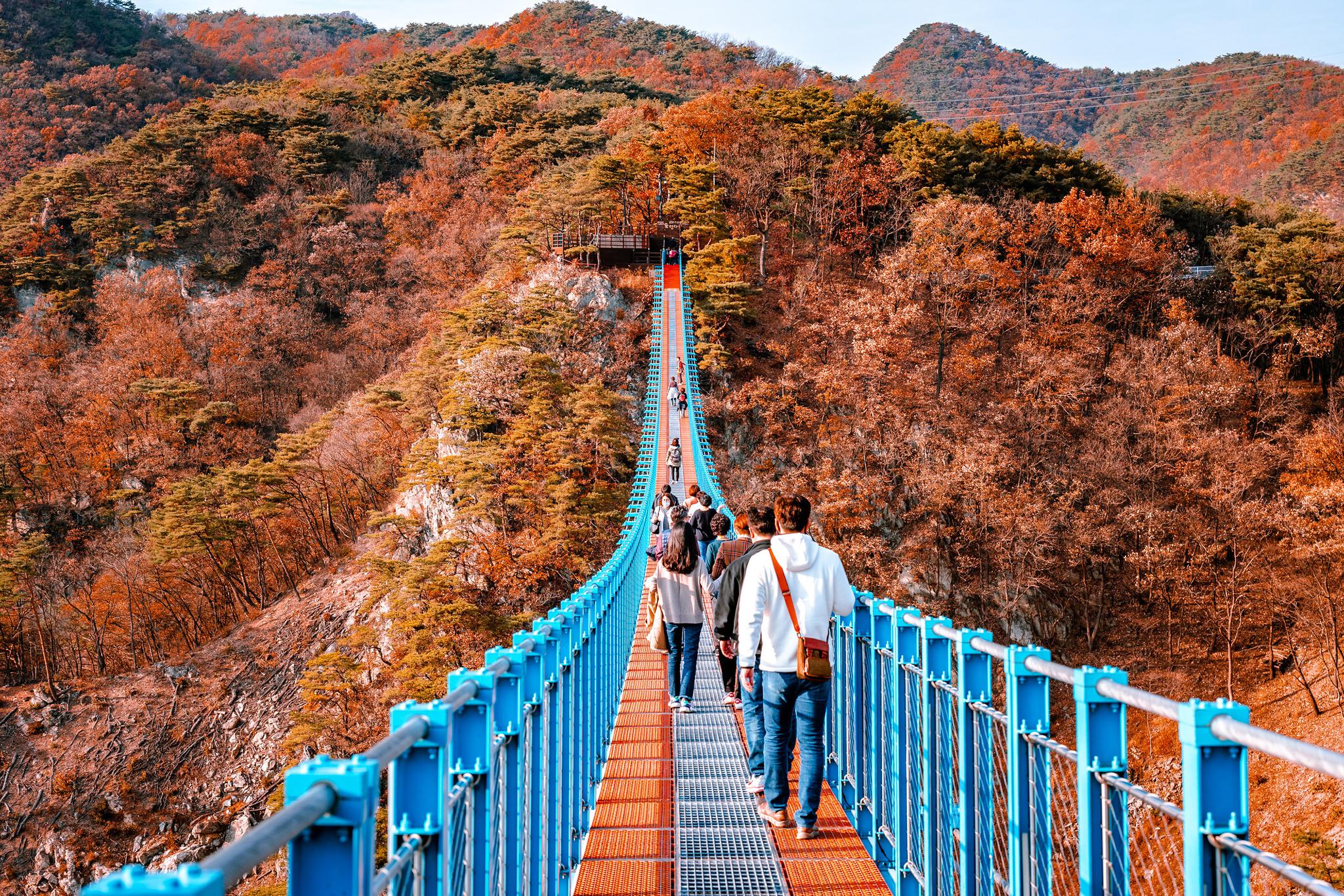 韩国原州小金山悬索吊桥.