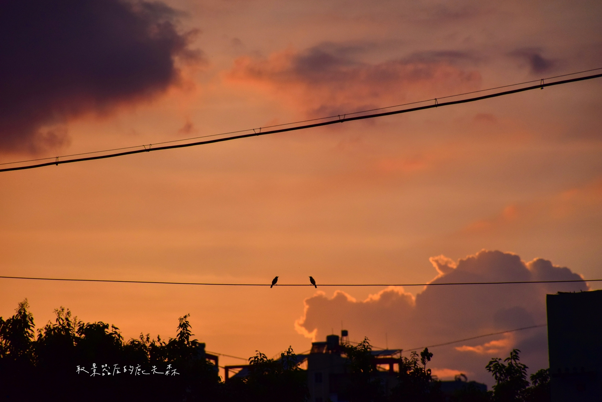 日落是不用遗憾告别的美