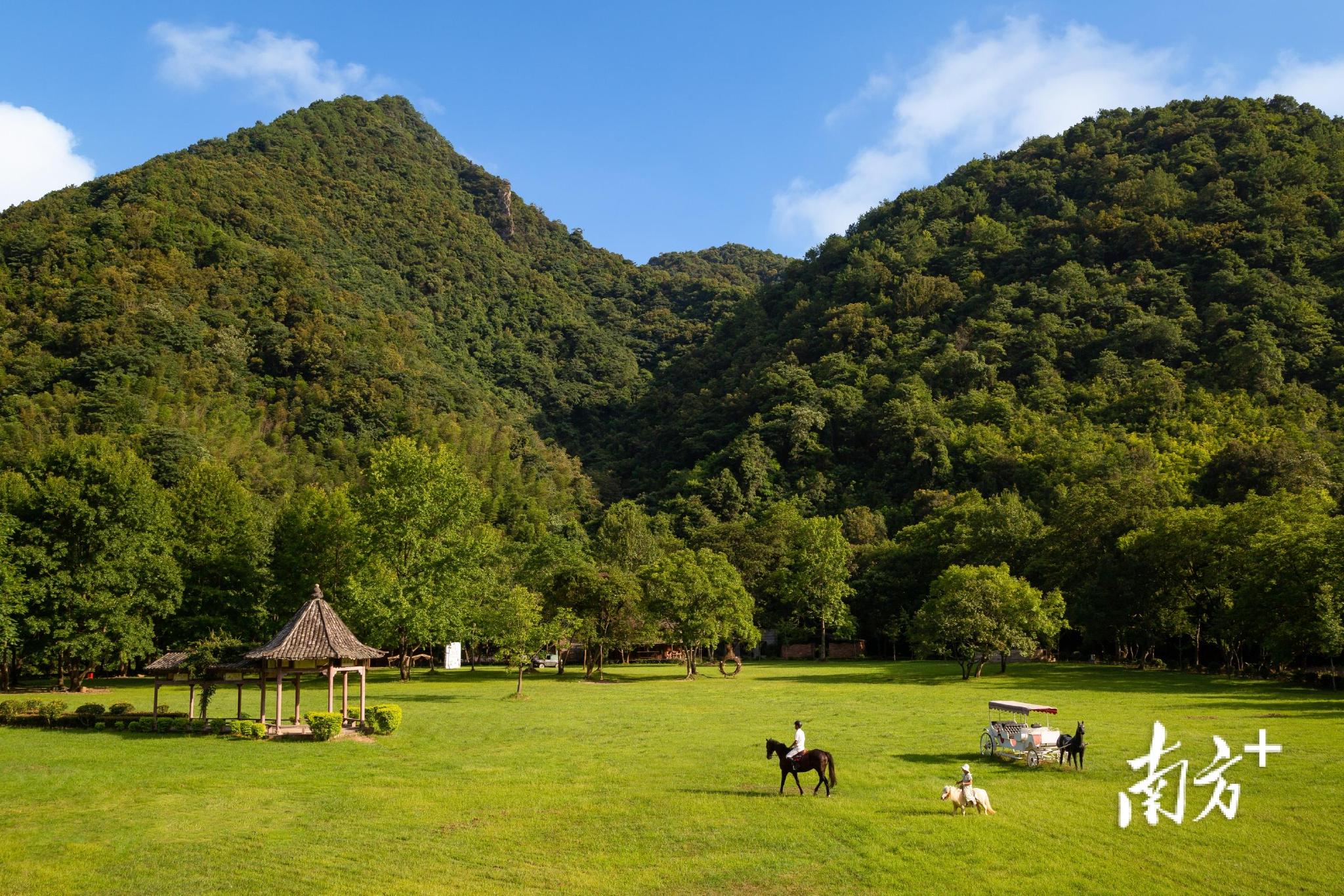 灵溪河森林公园获国家aaa级景区称号