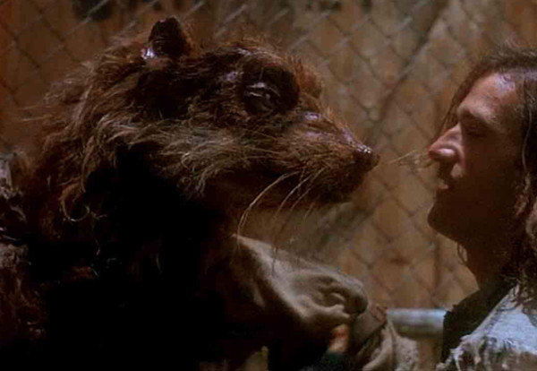 变异巨鼠团灭科学团队,仅1人生还,切尔诺贝利巨鼠真的存在吗?