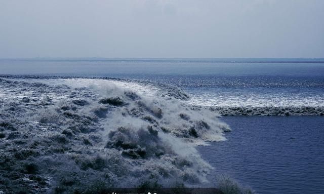 今日影像|用镜头感受江河的奔涌,定格城市的烟火和心跳