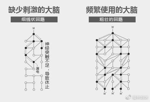 3岁前，缺乏刺激和频繁使用的大脑神经有多大区别？一张图告诉你休闲区蓝鸢梦想 - Www.slyday.coM