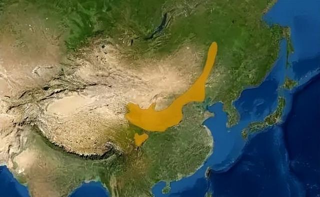 别看TA其貌不扬,这可是我国独有的鸟类休闲区蓝鸢梦想 - Www.slyday.coM 别看TA其貌不扬,这可是我国独有的鸟类休闲区蓝鸢梦想 - Www.slyday.coM