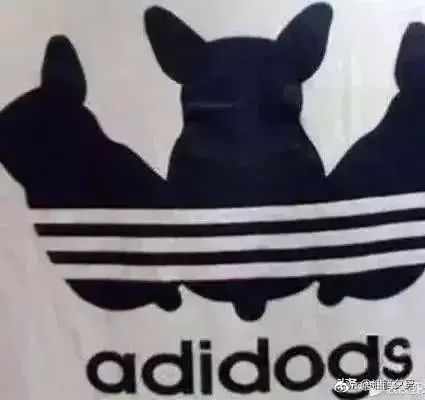 晒晒这些年见过最离谱的盗版商品