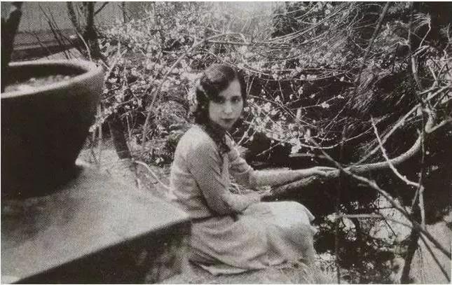 《第一炉香》灰满地，白瞎了张爱玲的美丽苍凉休闲区蓝鸢梦想 - Www.slyday.coM