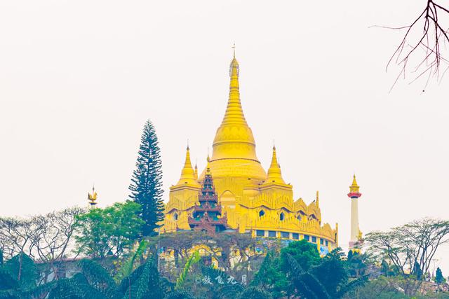 云南西双版纳这个口岸,河对面就是缅甸大金塔,和孔雀拍照免费