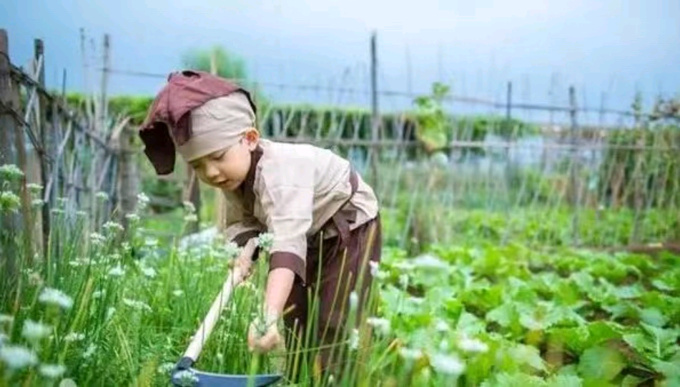 秦汉统治中的“南方”是什么样子的？...