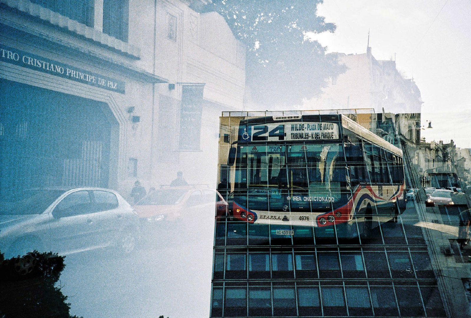 7月的南半球正值秋冬季,也是布宜诺斯艾利斯一年中最凉爽的时节