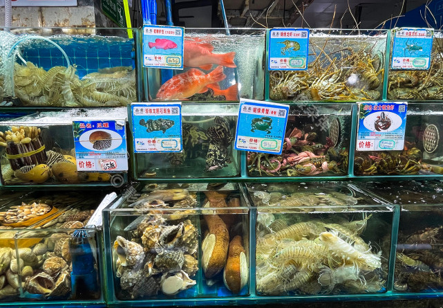 真实的三亚第一市场外表普通不起眼走进去物价大开眼界