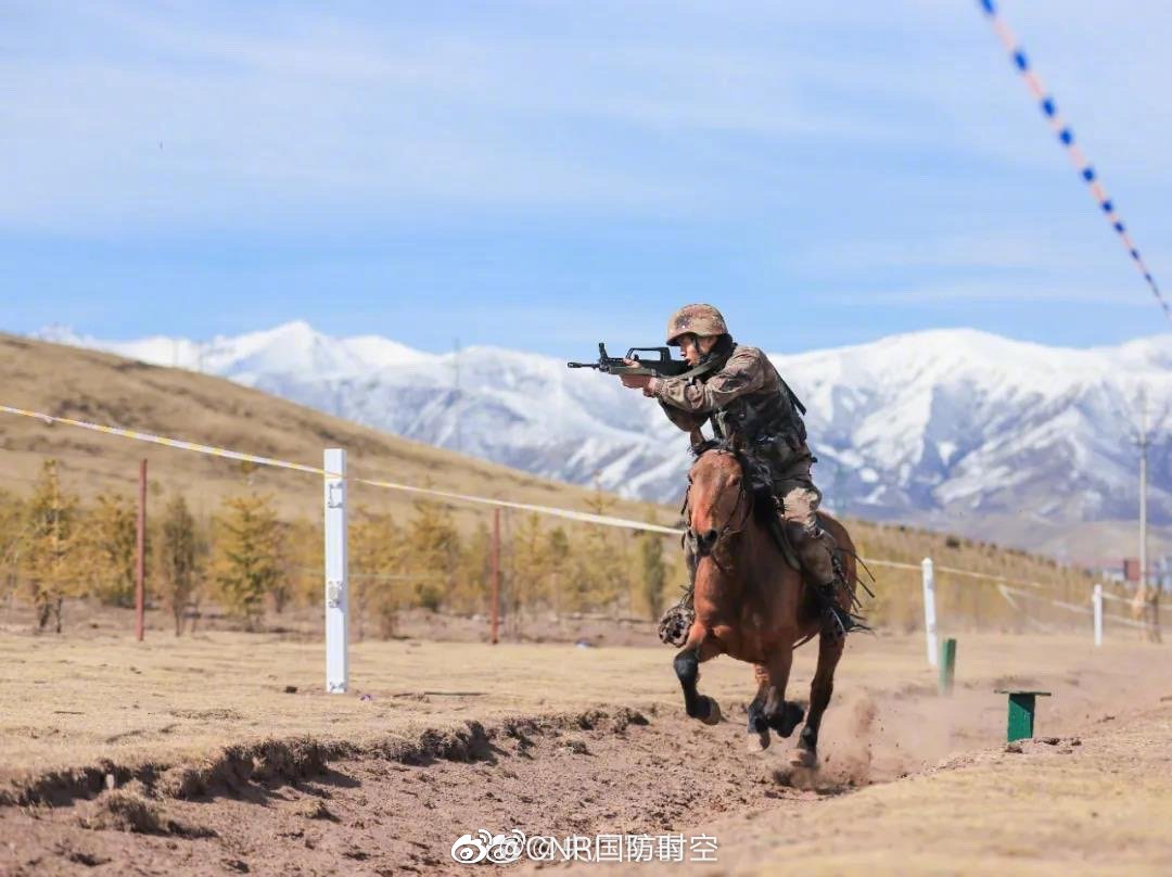 军马驰骋_高清图集_新浪网