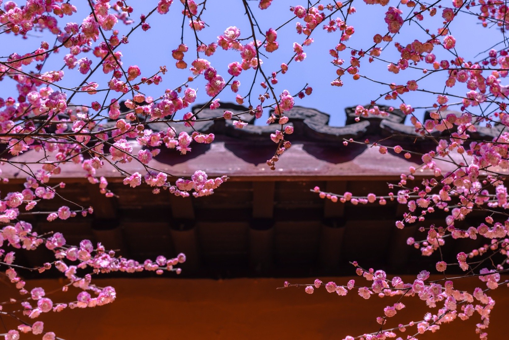 图虫摄影网500px摄影社区杭州发布