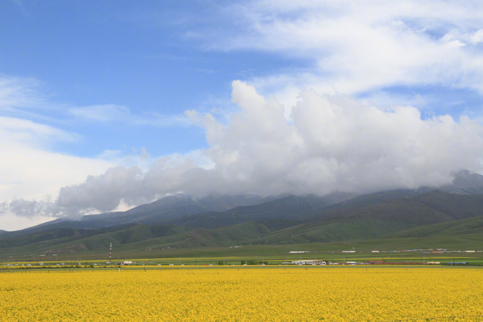 青甘大环线的夏天 天地广阔 风景壮丽__财经头条