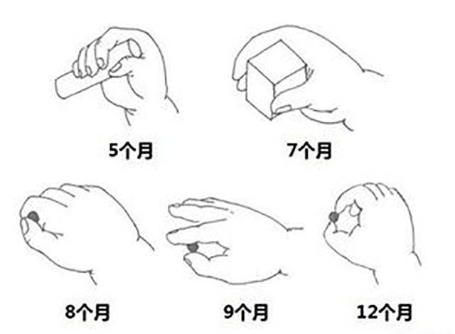 蔓越莓苹果条松软酸甜锻炼宝宝抓握和咀嚼辅食零食都适合