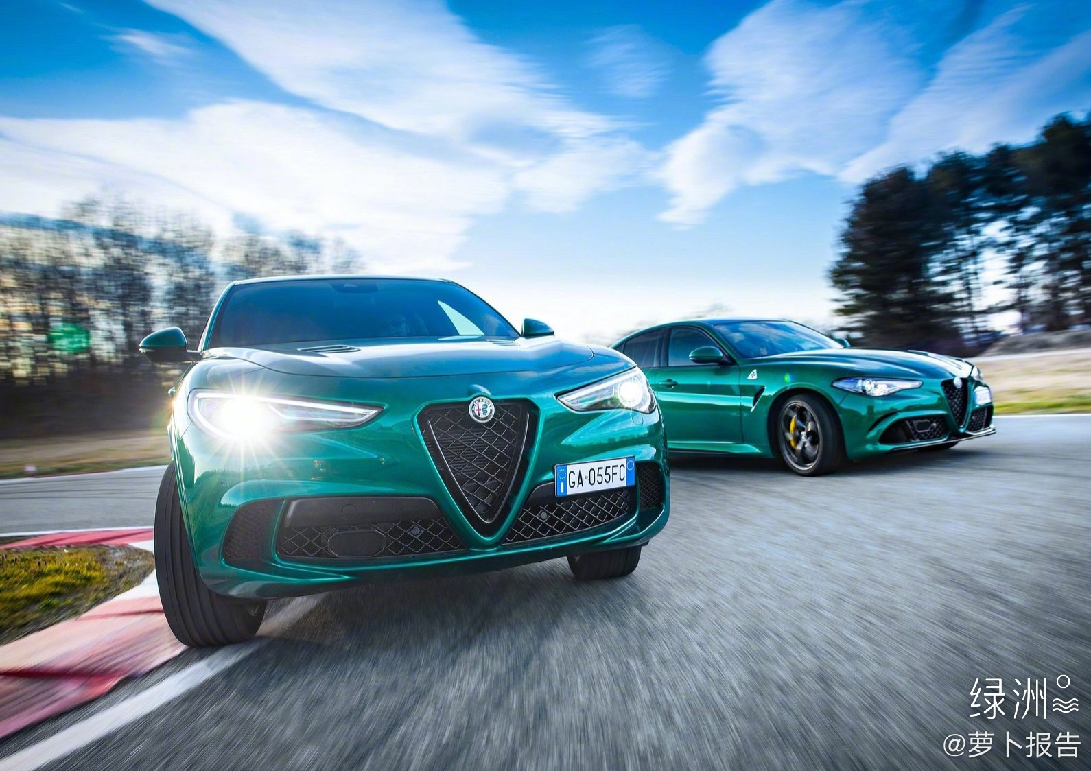 alfa romeo stelvio quadrifoglio