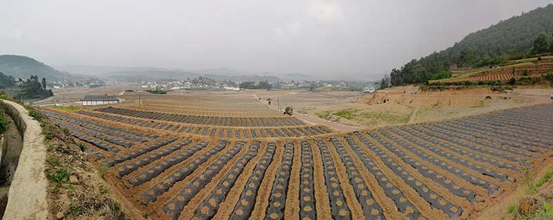 保山施甸高标准农田建设助农增收