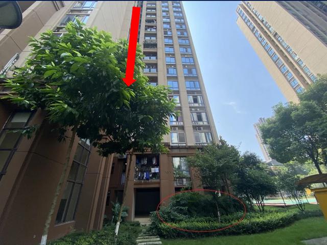 重庆姐弟坠亡案生父和情人获判死刑,案发当天情妇采取割腕方式刺激他动手,曾上百次问律师俩人能不能判死休闲区蓝鸢梦想 - Www.slyday.coM 重庆姐弟坠亡案生父和情人获判死刑,案发当天情妇采取割腕方式刺激他动手,曾上百次问律师俩人能不能判死休闲区蓝鸢梦想 - Www.slyday.coM