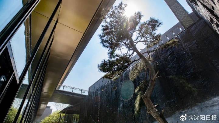 后房交会时代，真正的赢家原来是TA！休闲区蓝鸢梦想 - Www.slyday.coM