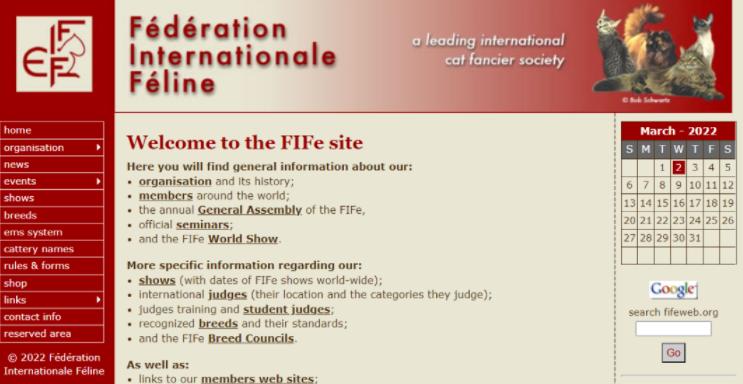 实在是可笑！对俄罗斯的猫进行制裁，猫咪：我做错了什么？休闲区蓝鸢梦想 - Www.slyday.coM