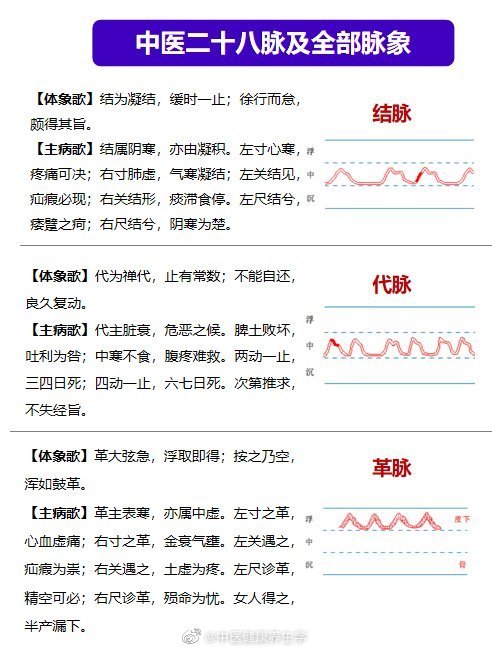 中医28脉及全部脉象详解值得学习