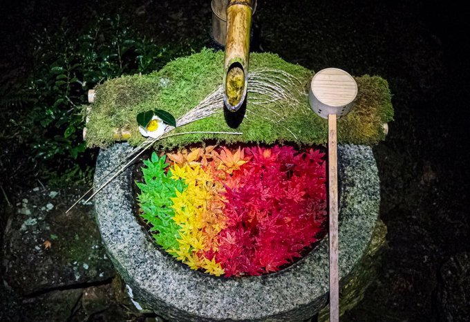 今天 花手水 又上日本热门了 水手舍中能窥见日本艺术 今天 花手水 又上日本热门了 水手舍中能窥见日本艺术