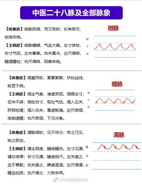 中医28脉及全部脉象详解值得学习