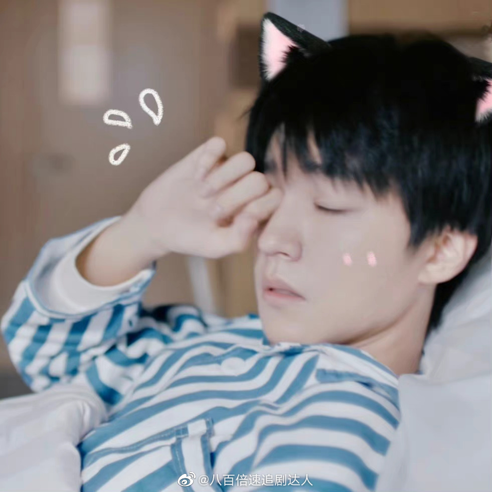 王俊凯本体可能是只猫不论是惊人的弹跳力敏捷度