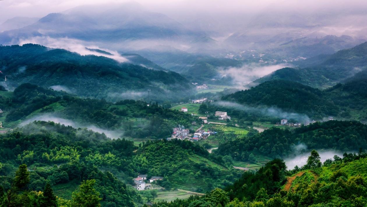 人民资讯 2022-02-21 18:27:28桐城:美化人居环境增乡村"颜值"