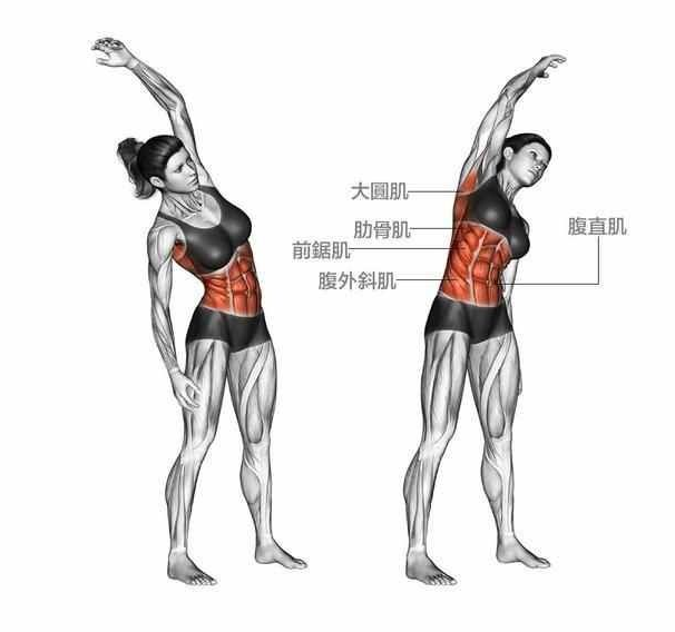 动作九:站姿腹部拉伸 双腿交叉,右腿在前;左手抓住右手腕尽力向左侧