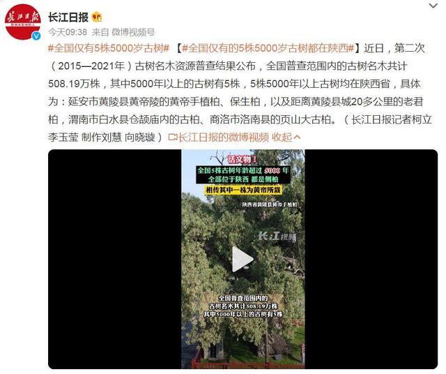 热搜第一!全国仅有5株5000岁古树,均在这一省!网友:见证了中华文明休闲区蓝鸢梦想 - Www.slyday.coM 热搜第一!全国仅有5株5000岁古树,均在这一省!网友:见证了中华文明休闲区蓝鸢梦想 - Www.slyday.coM