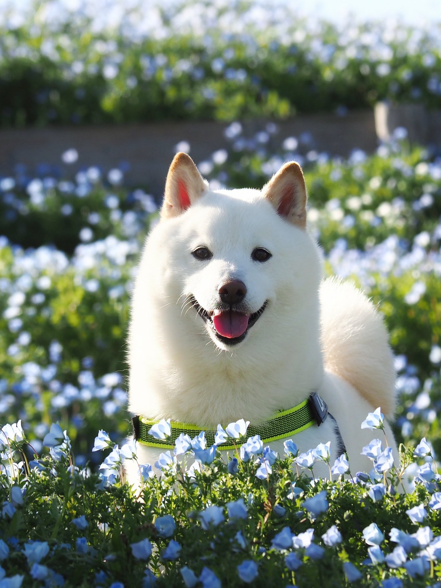 1536_2048竖版 竖屏