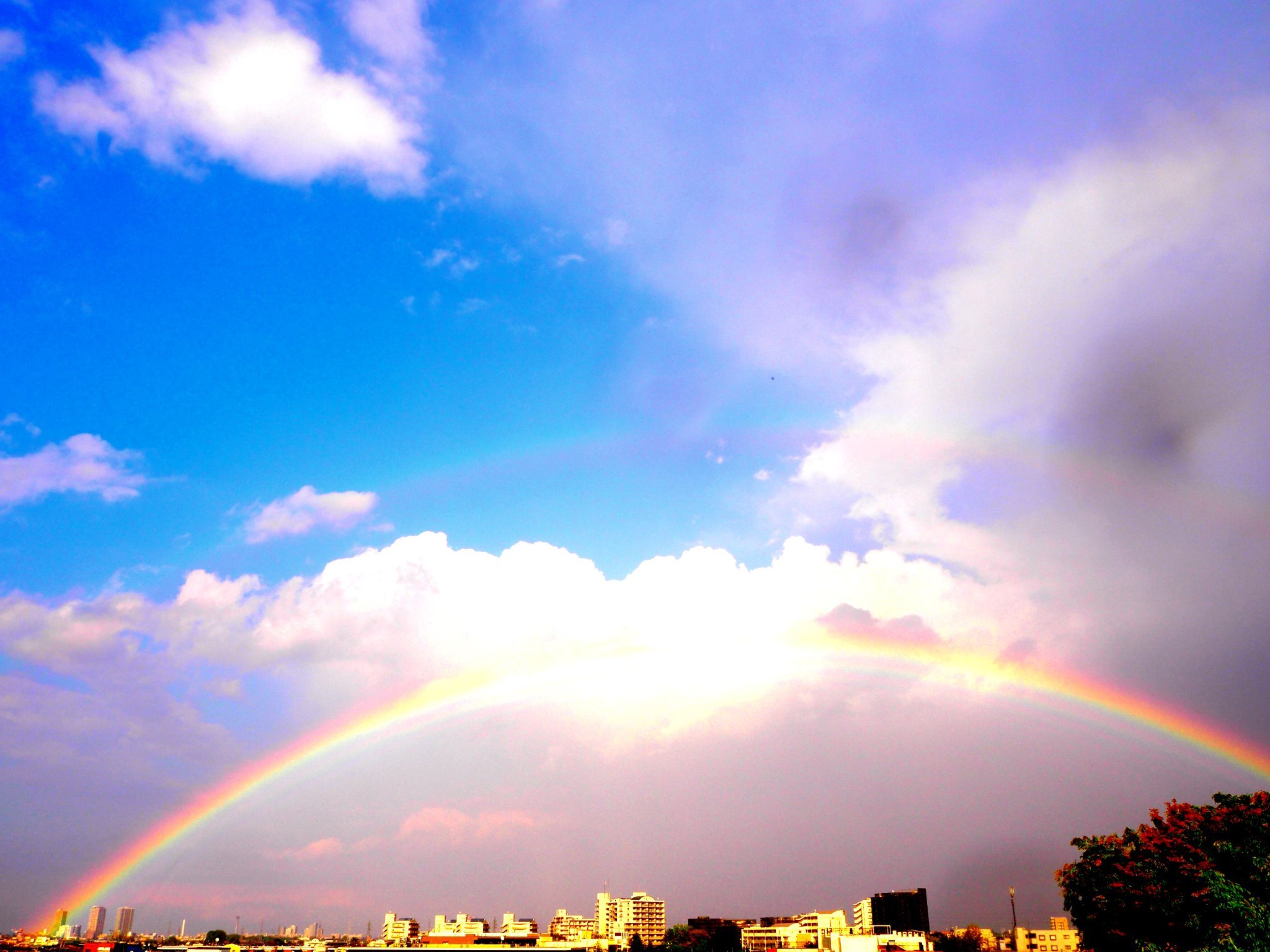 今天东京多地出现了双彩虹图5是我从家拍到的许个愿吧05