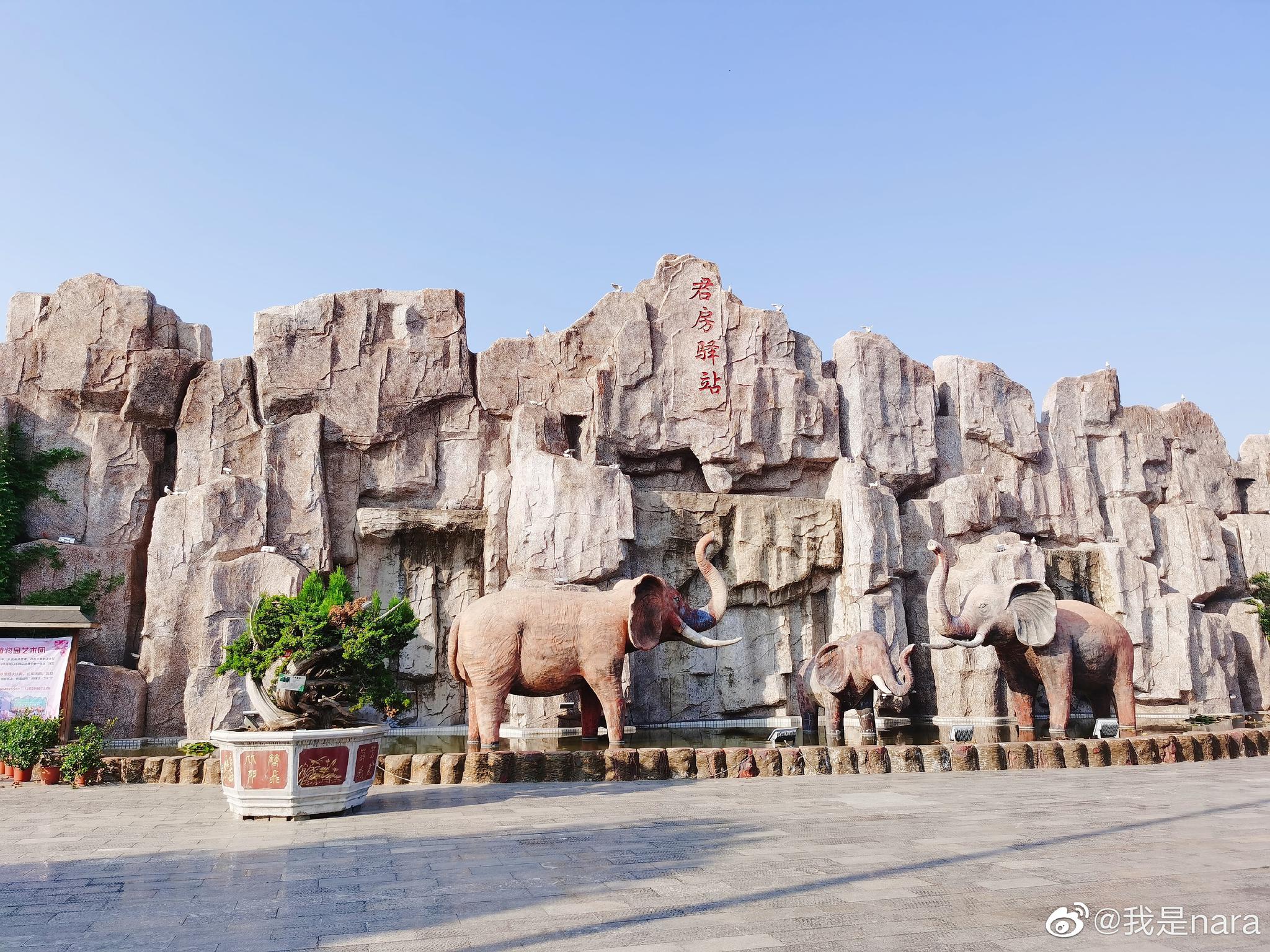 今天去了龙口动物园～结果妍妍看见熊猫,棕熊,狮子_高清图集_新浪网