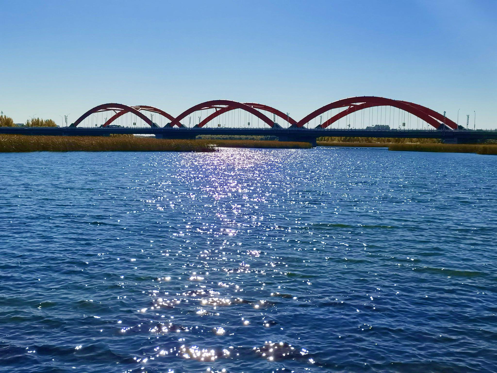 深秋时节的通辽市辽河公园