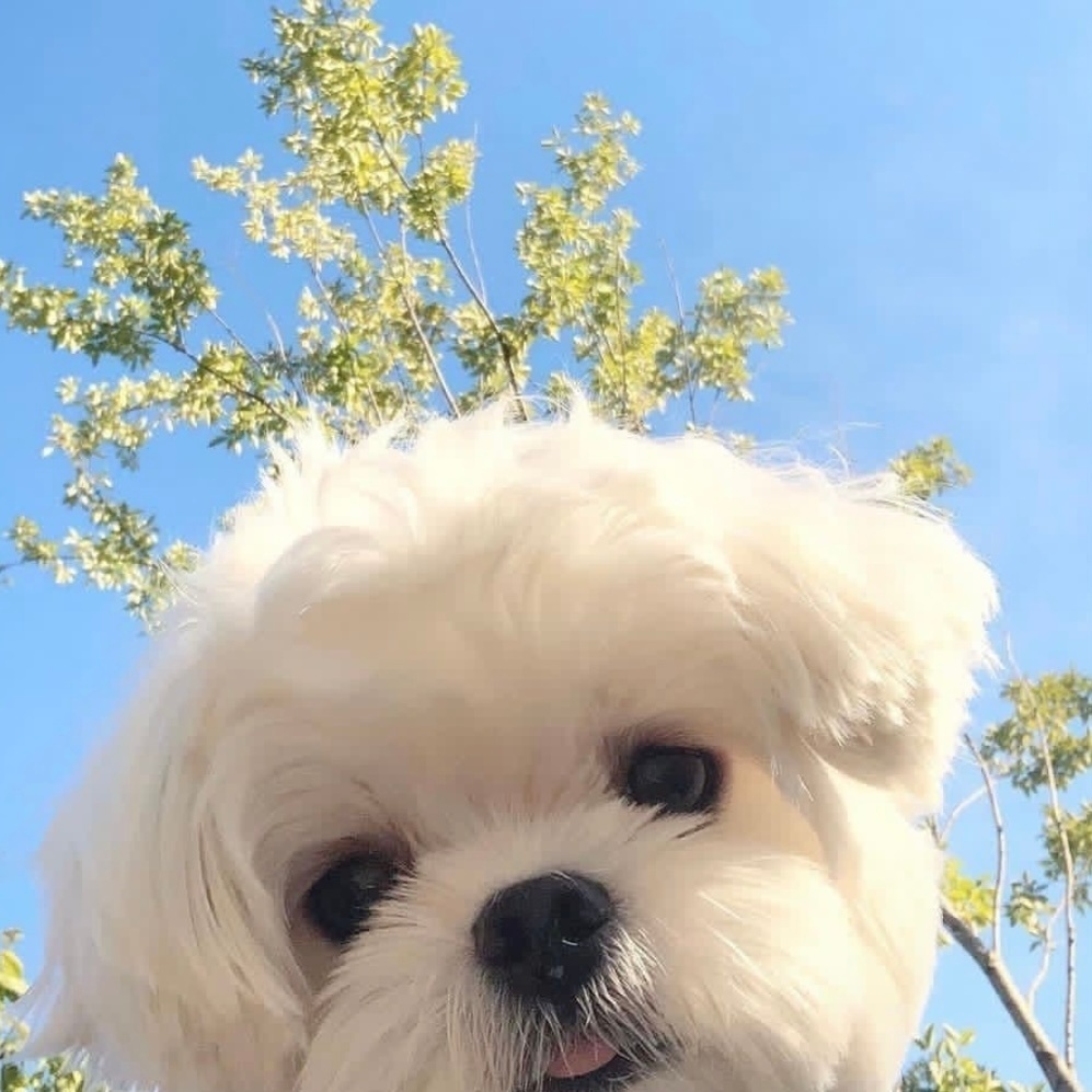 这运气啥时候能分我一丢丢__财经头条