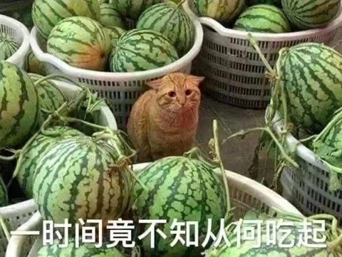 人口政策最新消息_人口警报拉响,继三胎政策后,国家给出了新建议,父母们都很