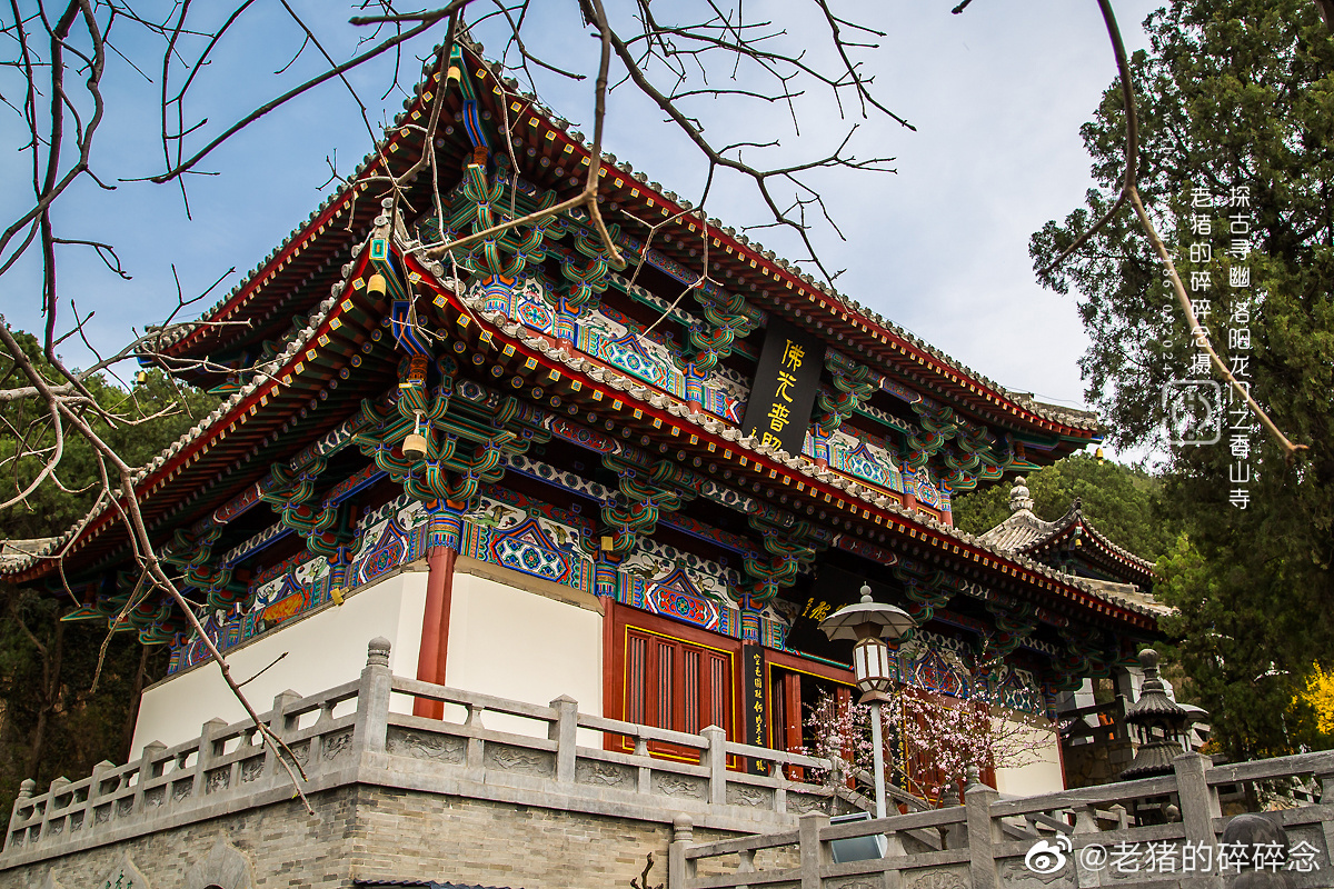 洛阳|龙门石窟.香山寺 晨起饮雾观龙门,暮沉依栏醉香山__财经头条