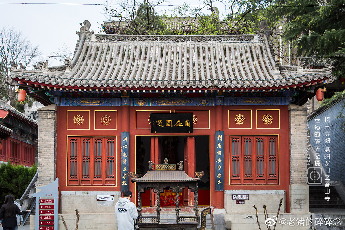 洛阳|龙门石窟.香山寺 晨起饮雾观龙门,暮沉依栏醉香山__财经头条