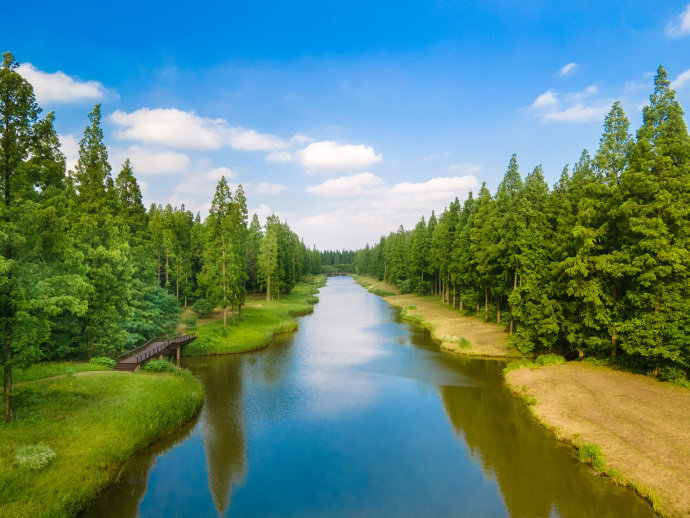 来盐城东台黄海海滨国家森林公园,感受沁凉一夏