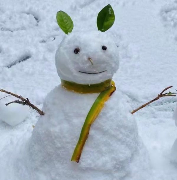 雪人大赛含着喜悦,炫耀以及扬眉吐气的于是,一场外地朋友都不能相信"