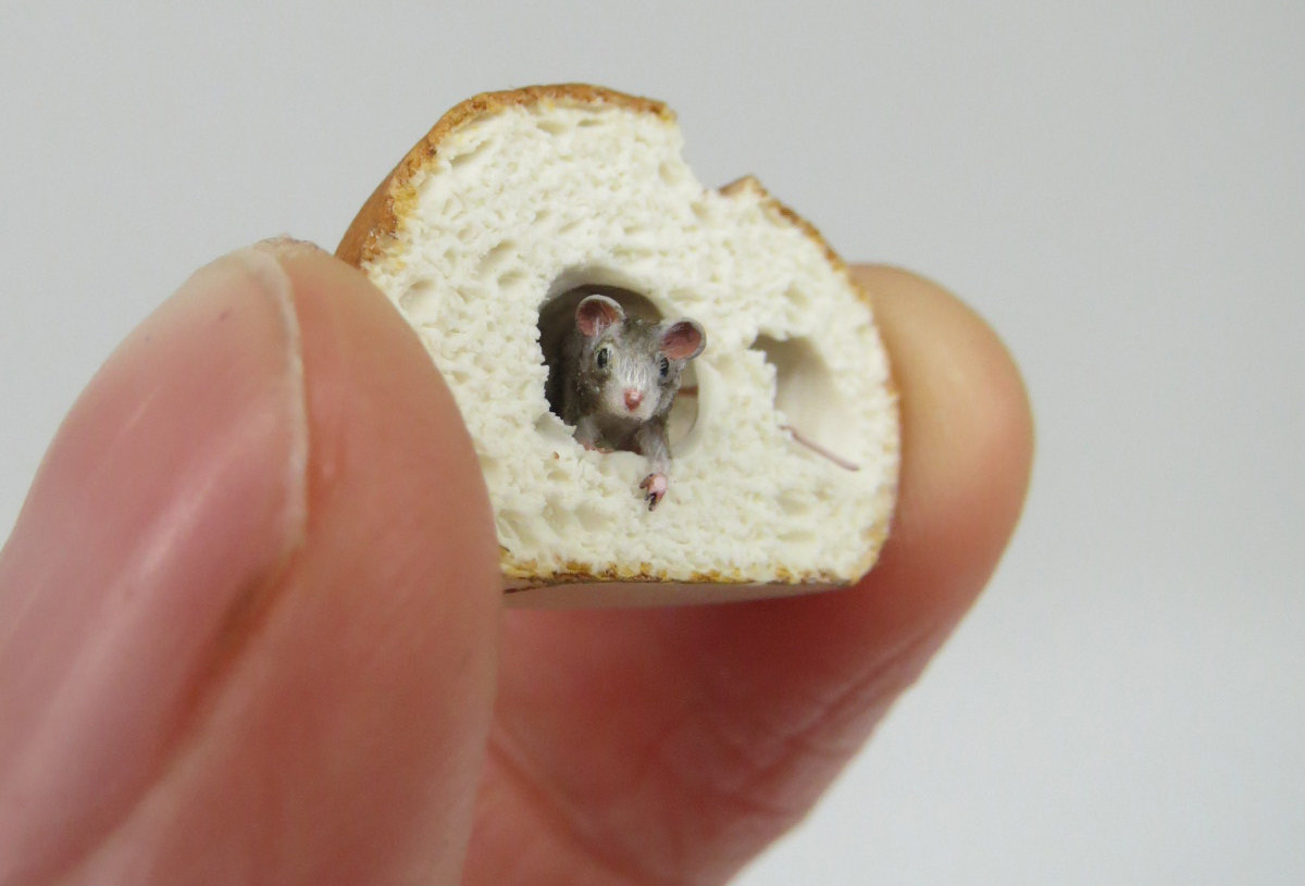 指尖上的微型动物