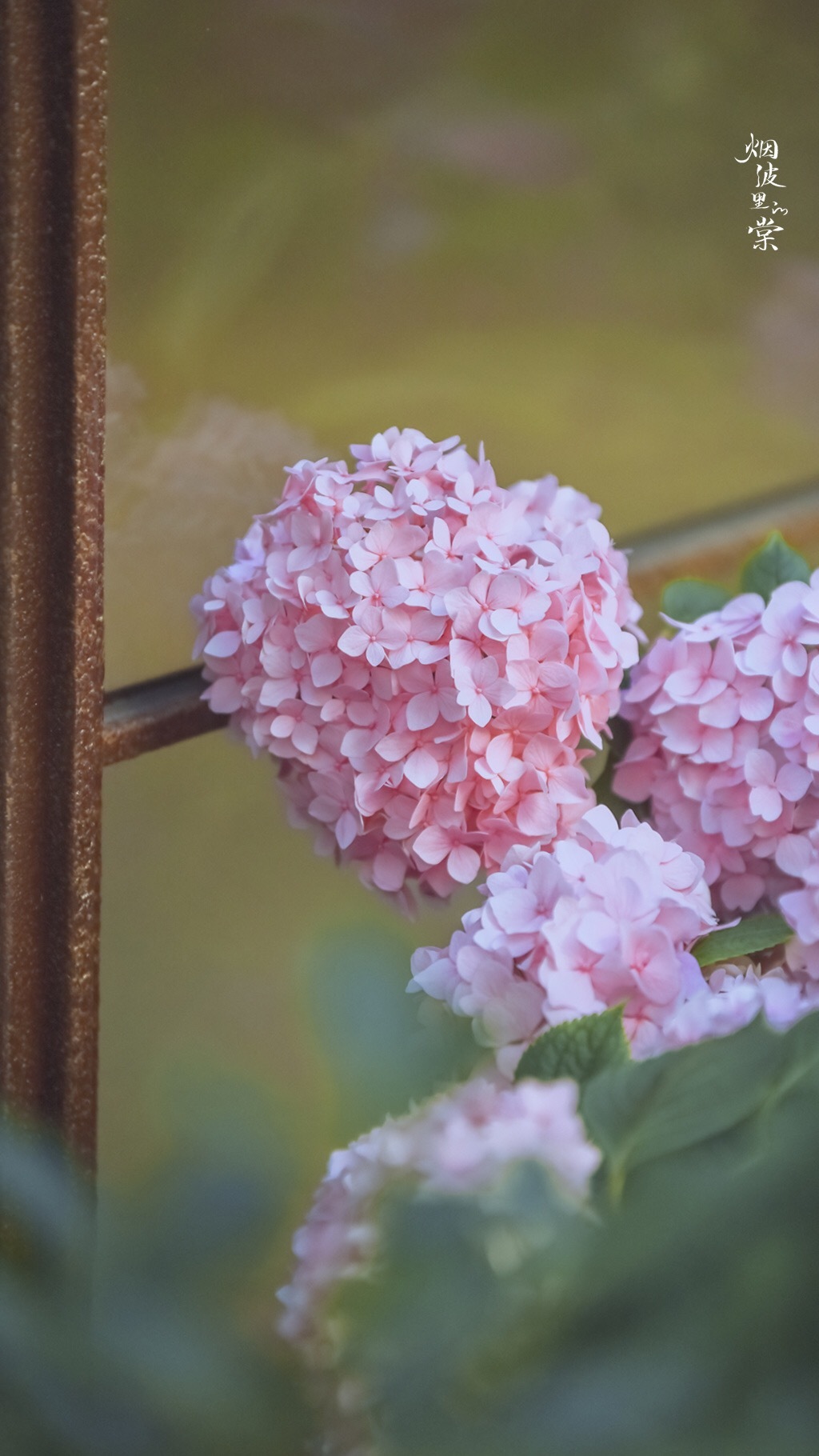 五彩斑斓 无尽夏 摄影_高清图集_新浪网