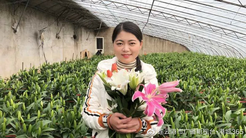 绿植租摆：装点家居与企业空间的艺术