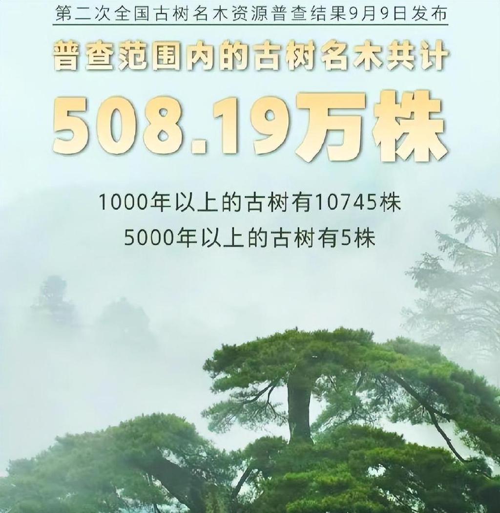 我国有多少古树名木?普查显示超508万株,云南省最多,占全国1/5休闲区蓝鸢梦想 - Www.slyday.coM 我国有多少古树名木?普查显示超508万株,云南省最多,占全国1/5休闲区蓝鸢梦想 - Www.slyday.coM