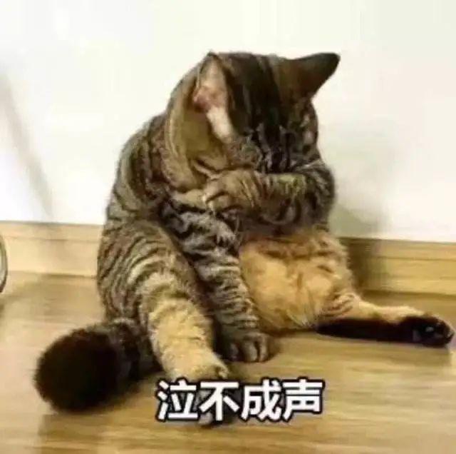 考个碳排放管理师证，一年躺赚20万？千万不要上当受骗！休闲区蓝鸢梦想 - Www.slyday.coM