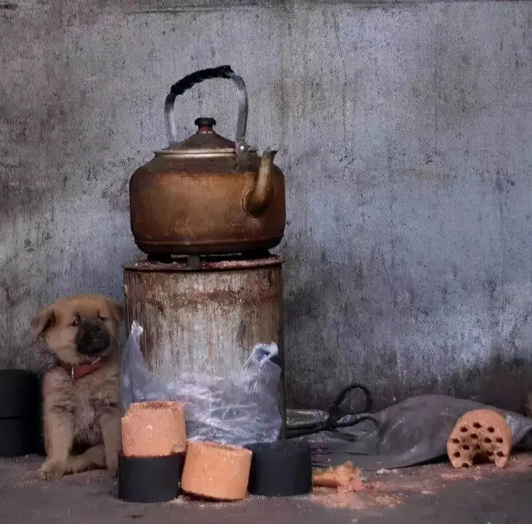 煤炉子,火钳子,和像我本人的狗子我知道我妈当时只是为了吓吓我,不过