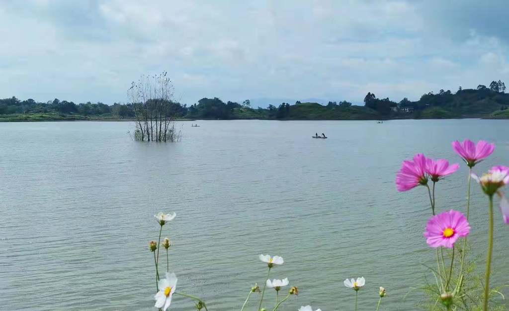 邻水县让水湖湿地公园首期正式投用|邻水县|公园|项目_新浪新闻