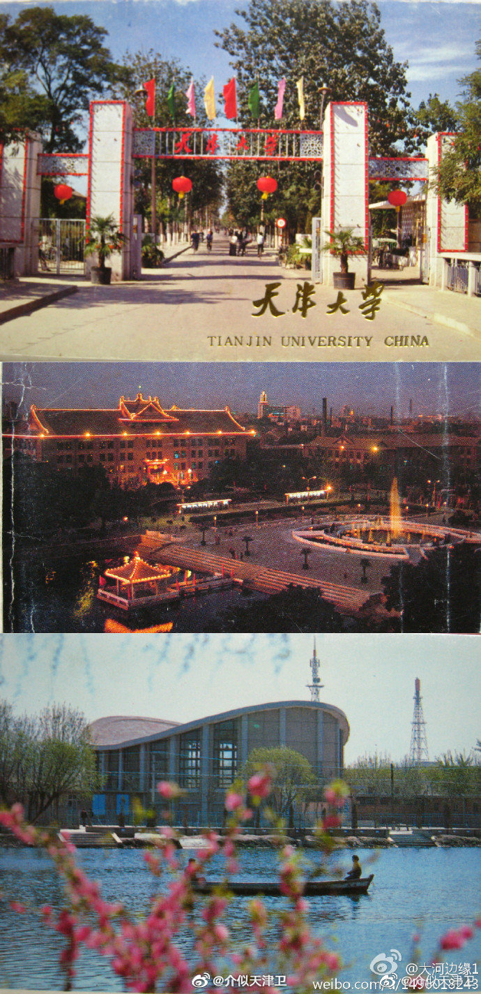天津老照片天津大学明信片老照片分享自大河边缘1